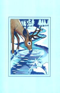 Deer at Stream