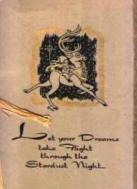 Dreams Take Flight